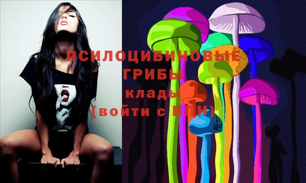 мяу мяу мука Алексин