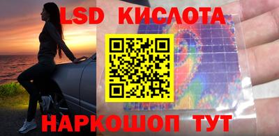 спиды Владимир