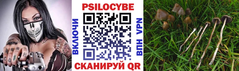 Галлюциногенные грибы Magic Shrooms  сайты даркнета наркотические препараты  Белореченск  OMG маркетплейс 