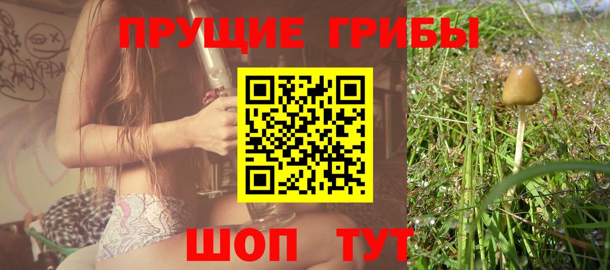 Псилоцибиновые грибы Psilocybine cubensis  Вход с VPN  Белореченск 