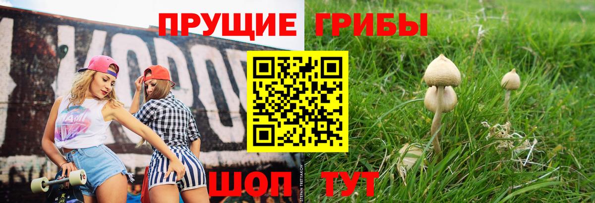 Псилоцибиновые грибы GOLDEN TEACHER Белореченск